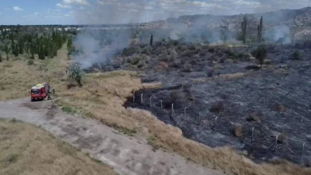 Incendio consumió cinco hectáreas en las inmediaciones del tercer puente 