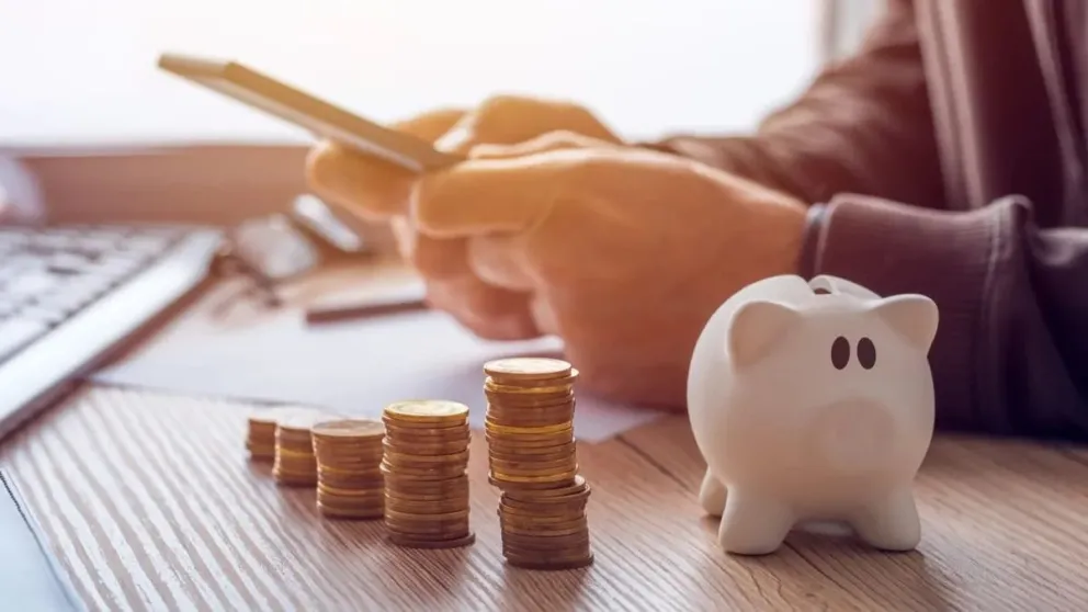 Cuál es el plazo fijo diario que te da un interés más alto que el del Banco Central
