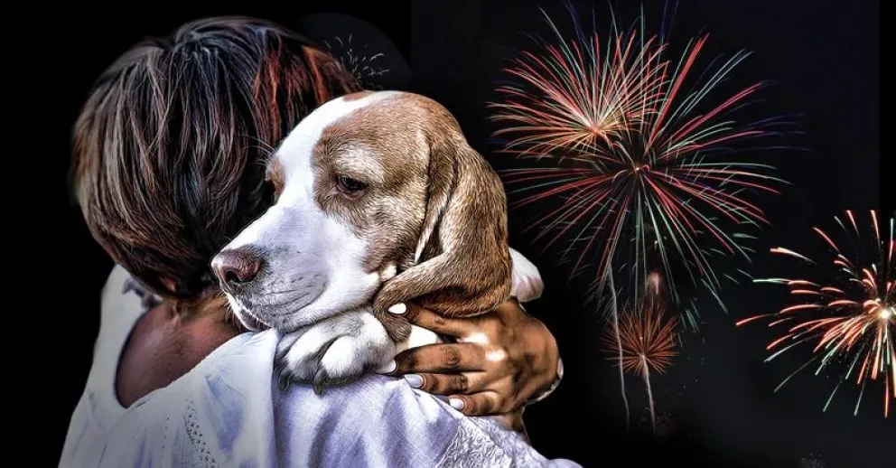Recomendaciones para cuidar a las mascotas en estas festividades próximas 