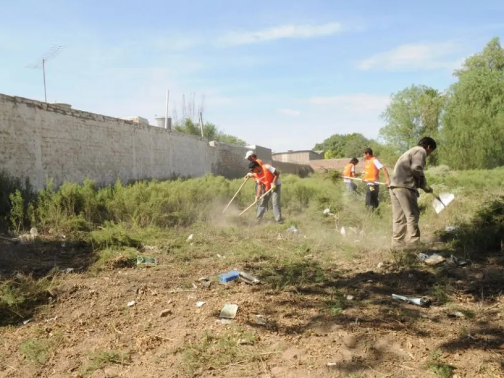 ¡Atención! Multas de hasta un millon de pesos para quienes no tengan limpio sus terrenos