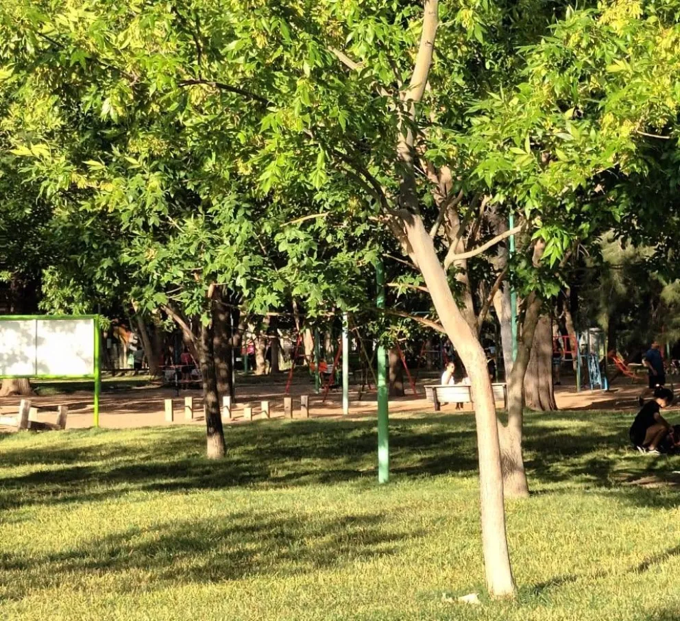 Primer fin de semana de marzo y un sábado de Corrida ¿Cómo estará el tiempo en el Alto Valle?