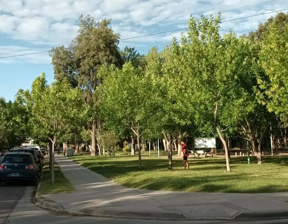 Ya se asoma el feriado XXXL, cómo sigue el tiempo en el Alto Valle