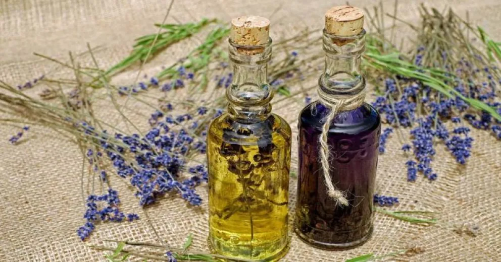 Remedios caseros para ahuyentar a los mosquitos en verano