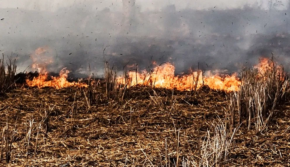 Se viene una semana de calor intenso: recomendaciones para evitar incendios
