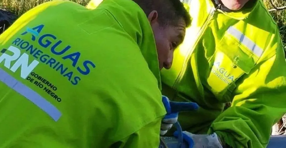 Por un robo de cables una localidad de la región se quedó sin el servicio de agua 