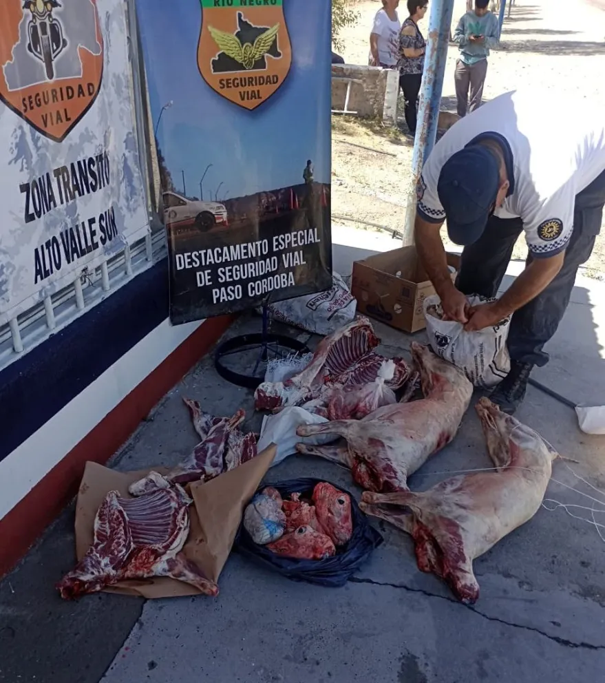 Atraparon a valletanos en diferentes operativos de decomiso de carne ovina y vacuna
