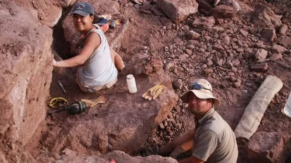 Científicos del CONICET encontraron restos fósiles de más de 86 millones de años en la región
