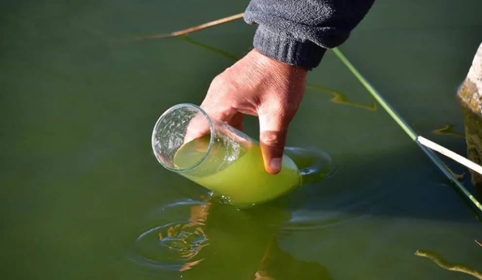 Alerta en los lagos de la regi&oacute;n por la floraci&oacute;n de cianobacterias |  Cipo360