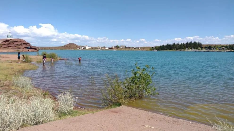 Alerta en los lagos de la región por la floración de cianobacterias
