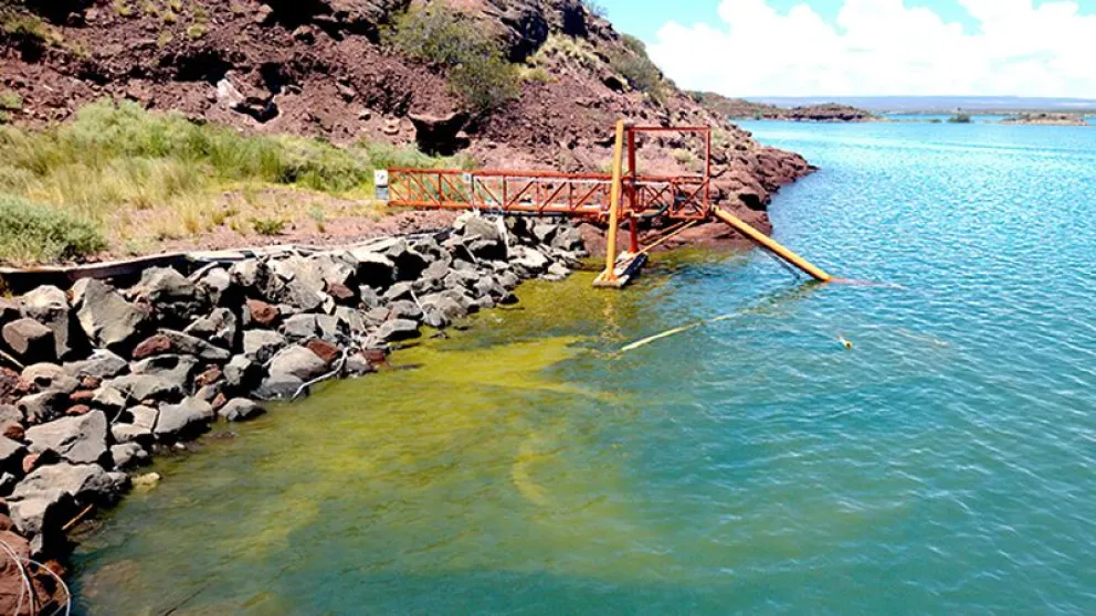 Por un mensaje falso desmienten la presencia de algas tóxicas en el agua potable del Alto Valle