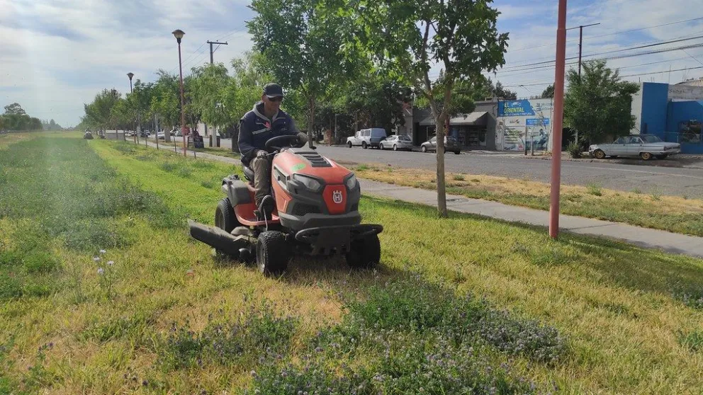 Los operativos de mantenimiento de espacios verdes continuarán durante la primera semana de enero. Foto: gentileza Municipalidad de Cipolletti.