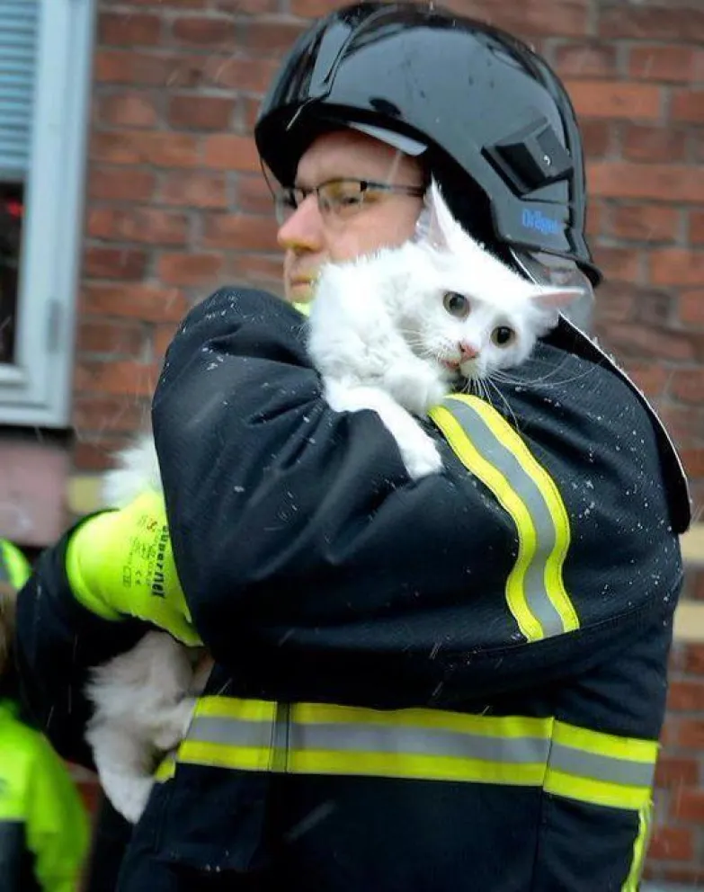 Y hasta tuvieron tiempo para rescatar a un gatito