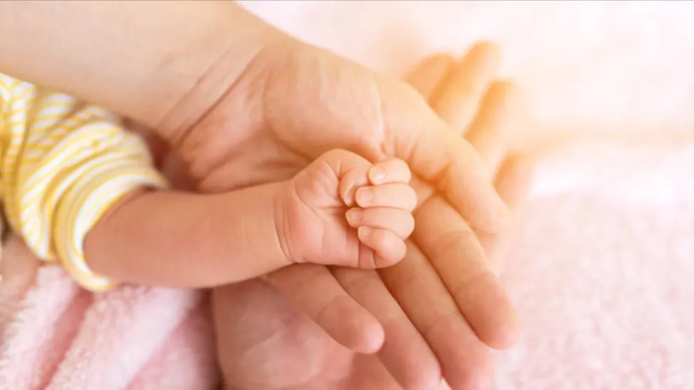 El Papa Francisco pidió prohibir la maternidad subrogada