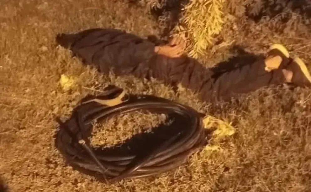 Detuvieron a un sujeto que robaba cables en la zona