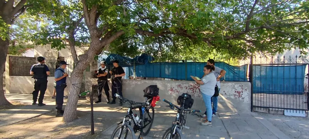 Policía secuestró importante cantidad de plantas de marihuana y el municipio clausuró un conventillo