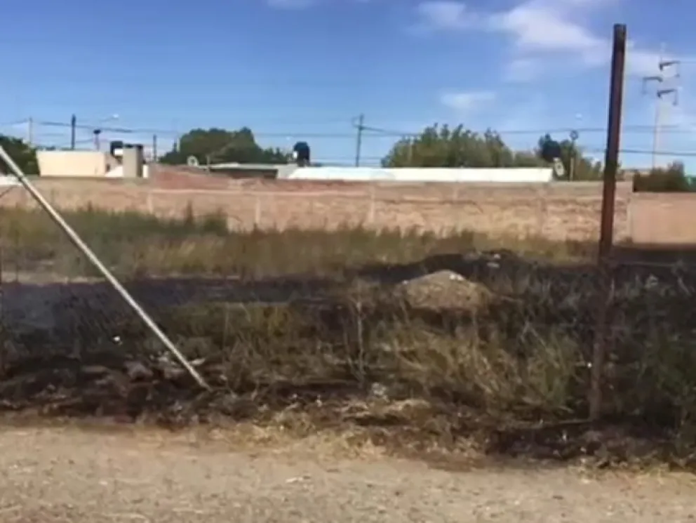 Se incendió un pastizal en la calle Mengelle de Cipolletti