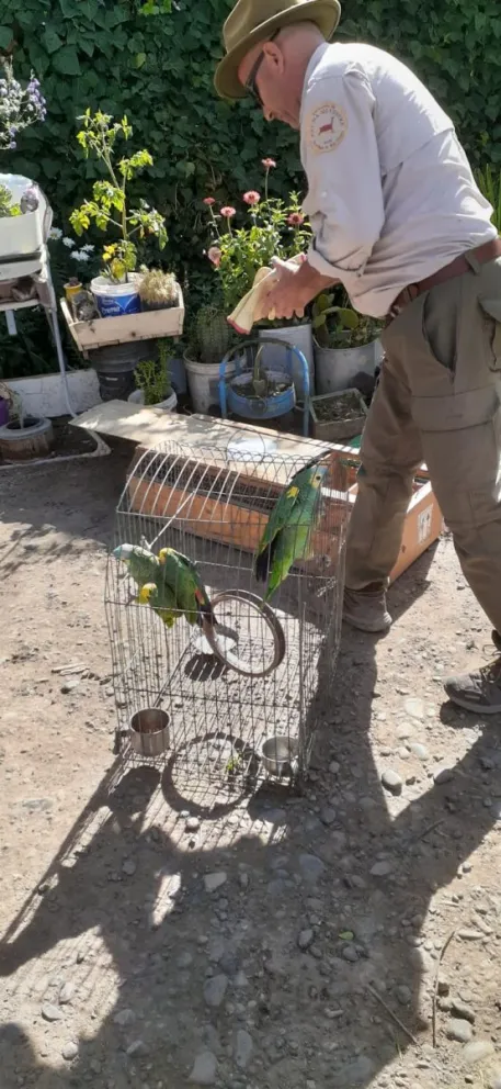Allanaron una  vivienda y rescataron animales en cautiverio 