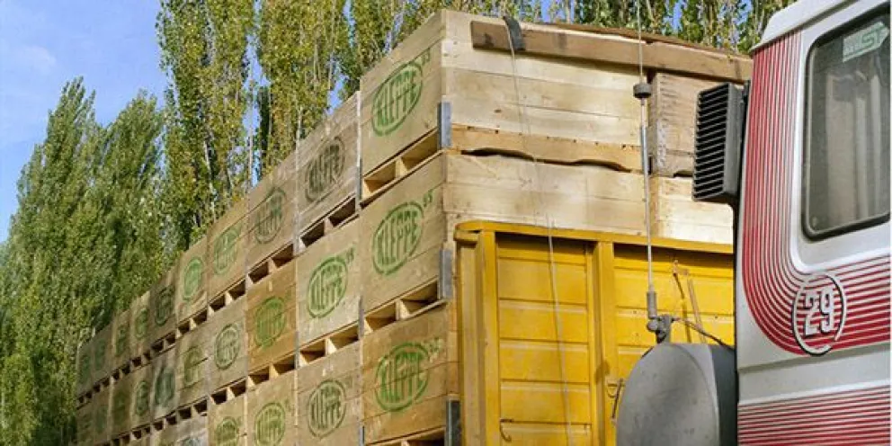 Lanzan una oferta laboral para trabajar en una reconocida empresa frutícola del Alto Valle