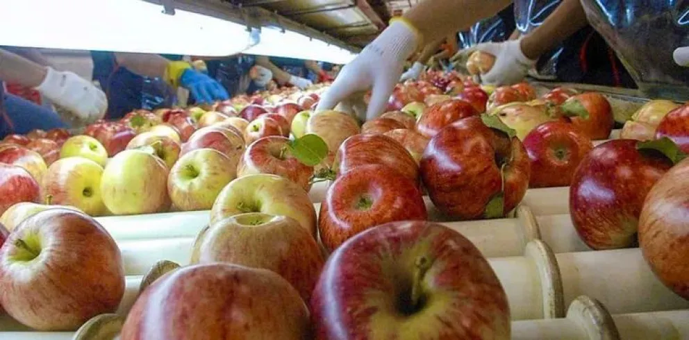 Paritarias sin acuerdo: trabajadores de la fruta reclaman un aumento salarial acorde a la inflación