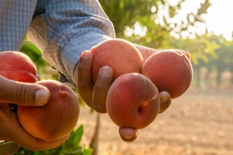 Las negociaciones paritarias entre el SOEFRNYN y CAFI concluyeron sin acuerdo