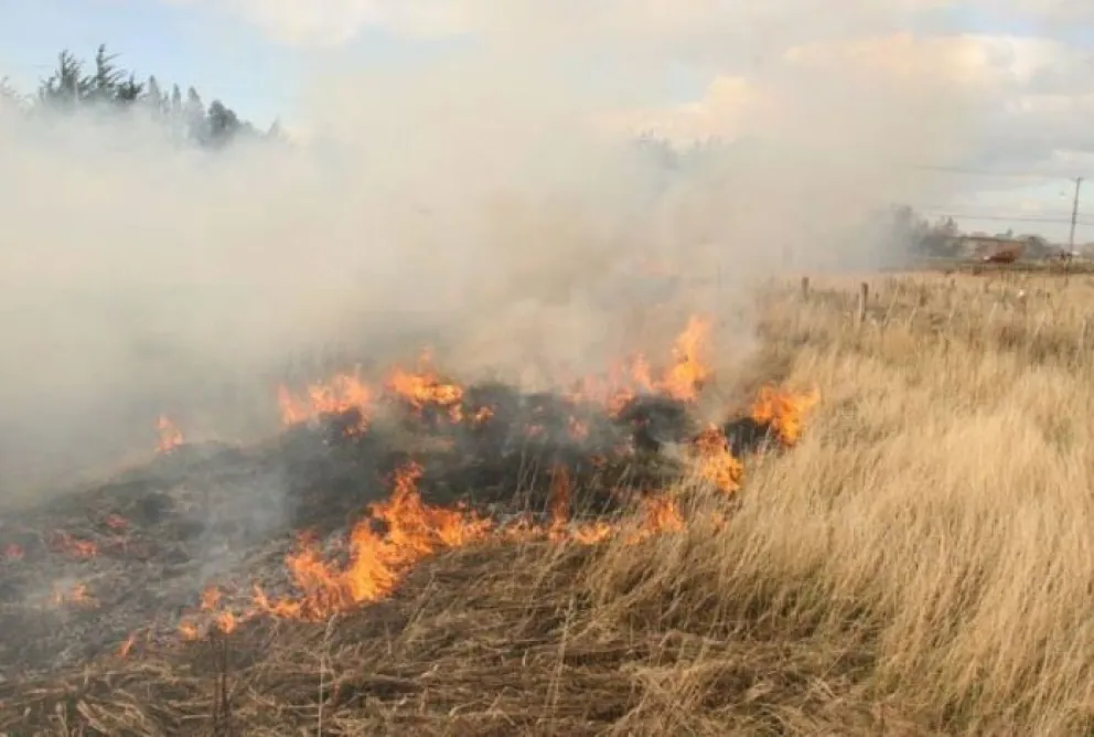 Alertan ante el peligro de incendios debido a las olas de calor en la región 