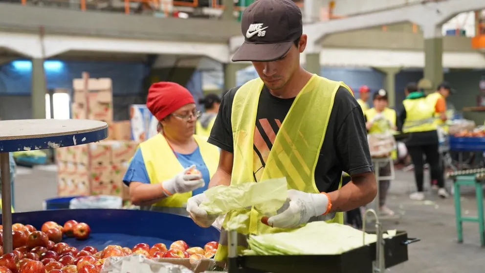 Destacan el funcionamiento y las posibilidades que se brindan en la Dirección de Empleo y Capacitación local 
