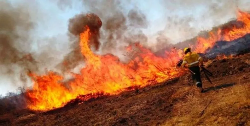 Alertan por “altísimo” riesgo de incendios en Río Negro