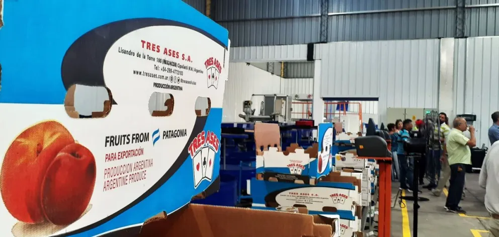 Tres Ases invirtió casi un millón de dólares para ampliar su planta de empaque