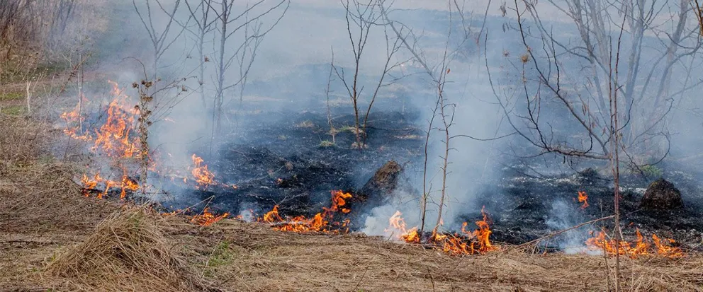 Intensifican los operativos para prevenir incendios forestales en la región