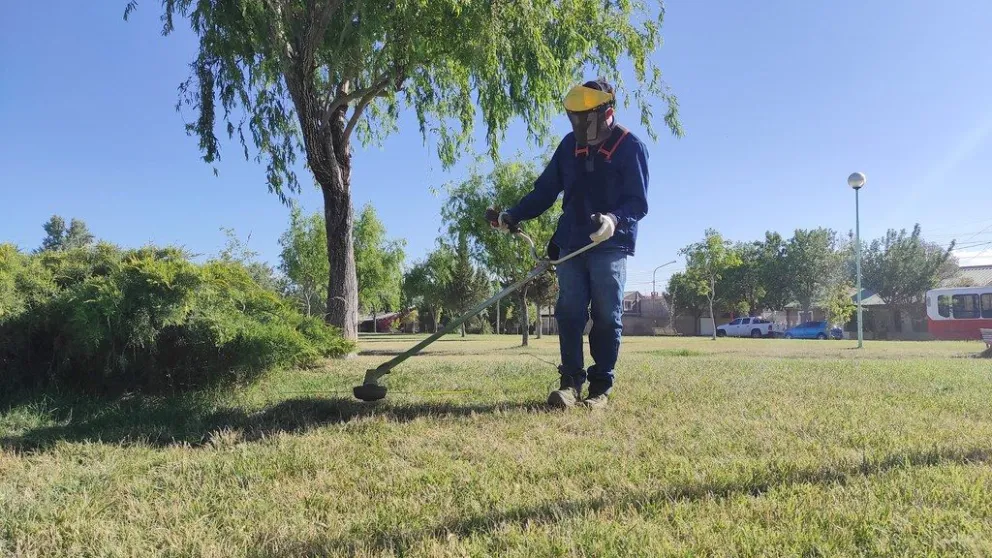 El municipio avanza con tareas de limpieza y orden en diferentes barrios cipoleños