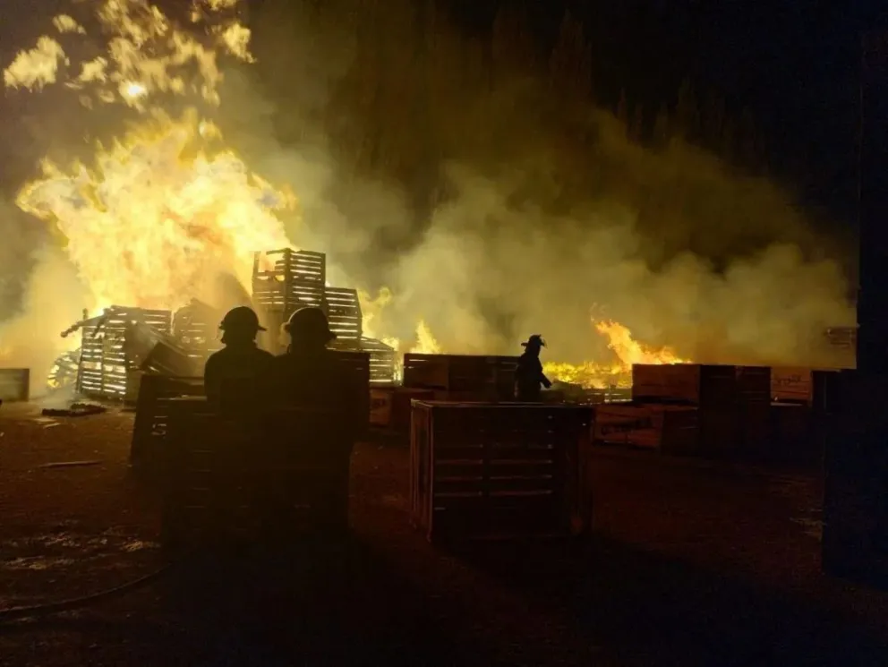 Un voraz incendio se desató a orillas de la Ruta 22 y los bomberos trabajaron seis horas para apagarlo
