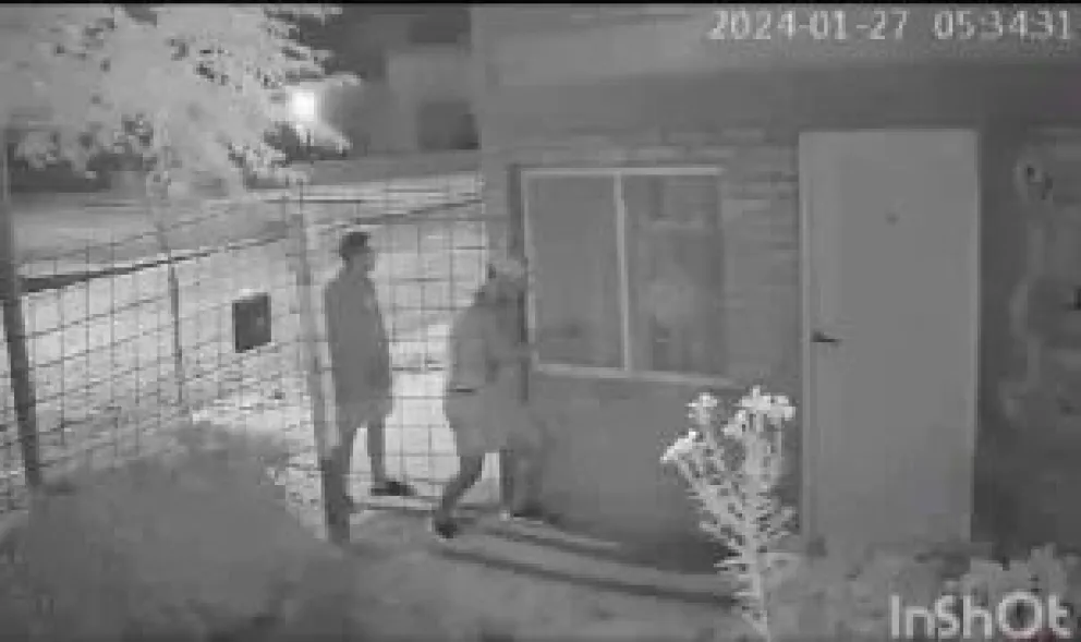   Insólita estrategia delictiva: robaron acompañados por un perro pitbull para distraer