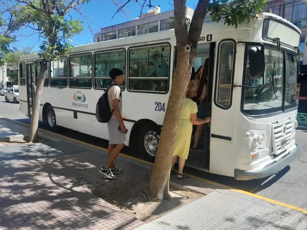 Se rompió un colectivo Pehuenche y crecen las denuncias por mal servicio