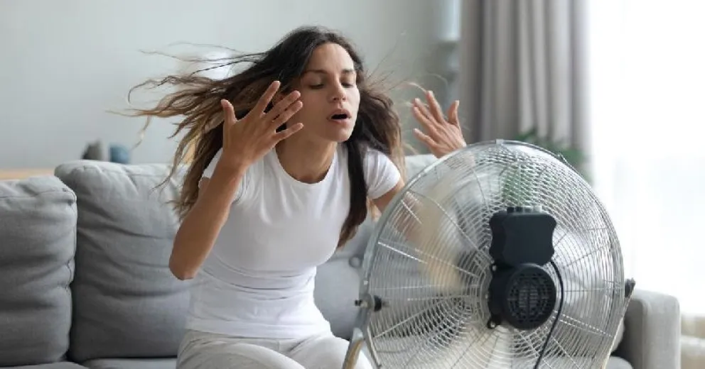 Trucos infalibles para mantener tu casa fresca sin aire acondicionado