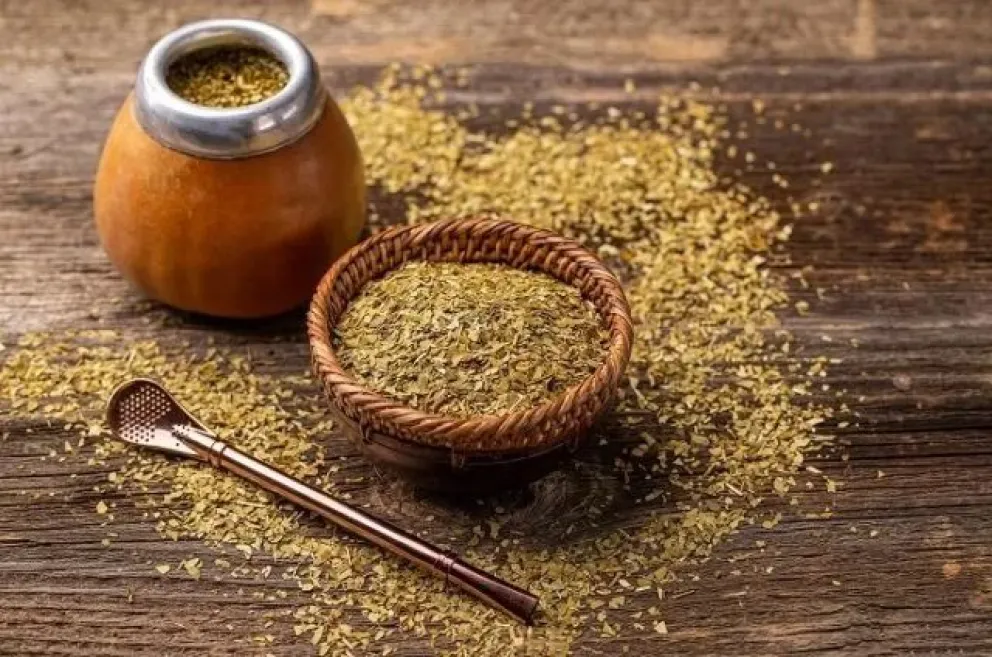 Crisis en la cosecha de yerba mate: productores paran por falta de acuerdo con el Gobierno