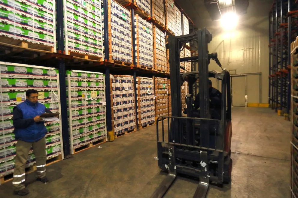 Exportación de Frutas Rionegrinas se dispara con un 20% de incremento en ventas