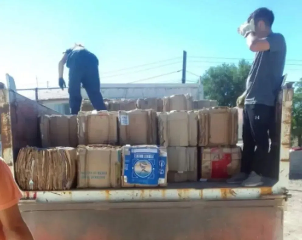Cipolletti recibió más de 1400 kilos de cartón para reciclar