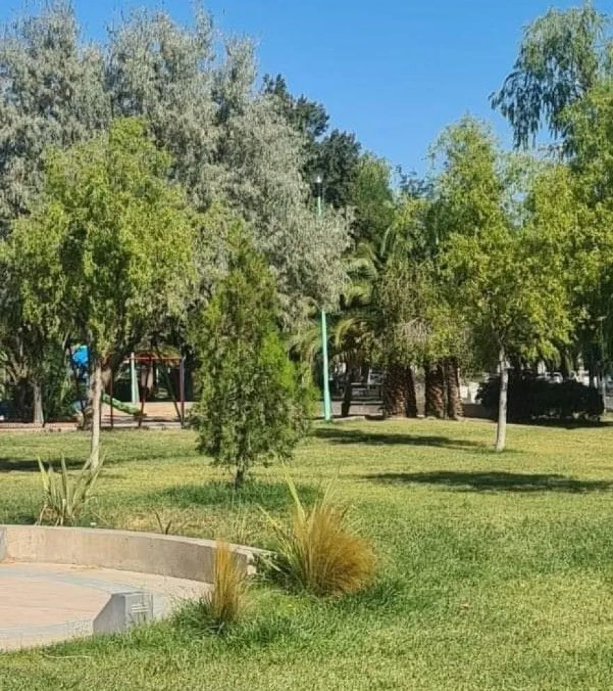 Primer fin de semana de febrero ¿Qué pasa con las temperaturas en la región?