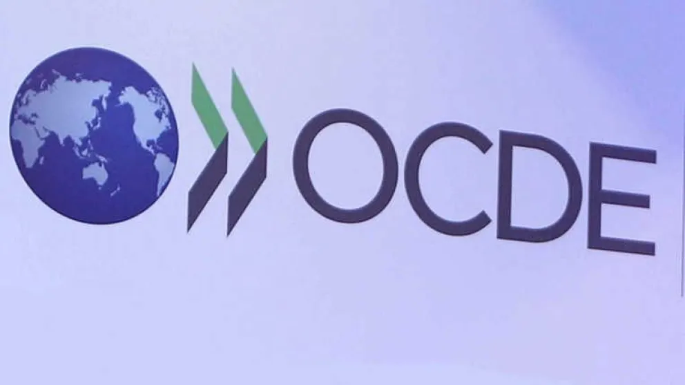 Inflación en Argentina: proyección de la OCDE señala un alarmante aumento del 250%