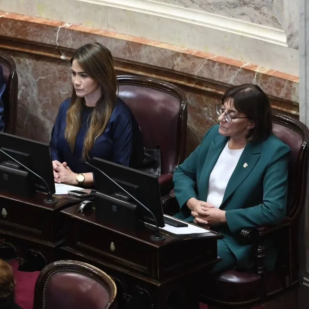 Silva anticipó que votará en contra del DNU de Milei “con las dos manos”