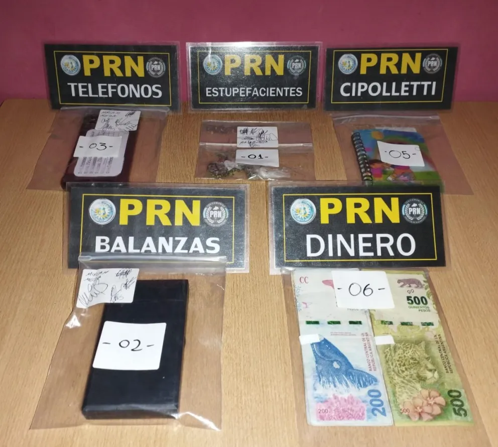 Desarticularon dos kioscos narcos y detectaron una plantación de marihuana en el Alto Valle