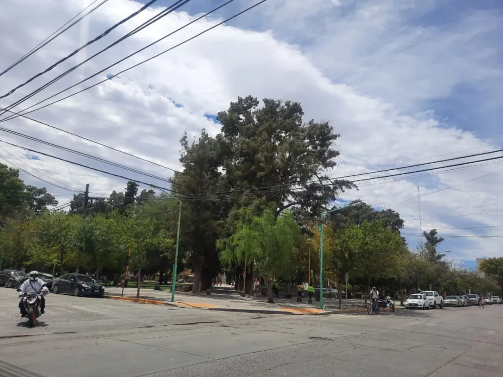 ¿Cómo estará el clima en la ciudad de Cipolletti? ¡Enterate acá!