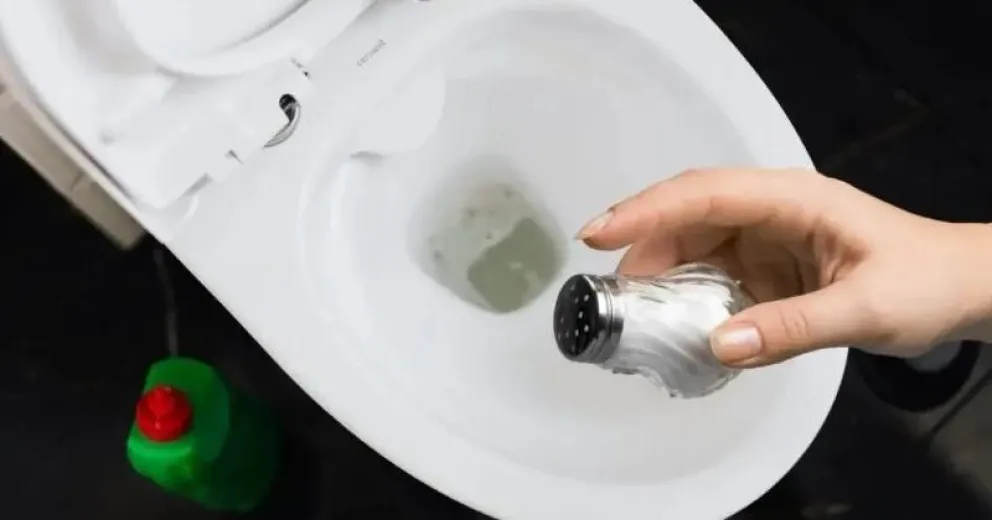 Secretos de limpieza: la sal, el ingrediente clave para mantener tu inodoro impecable