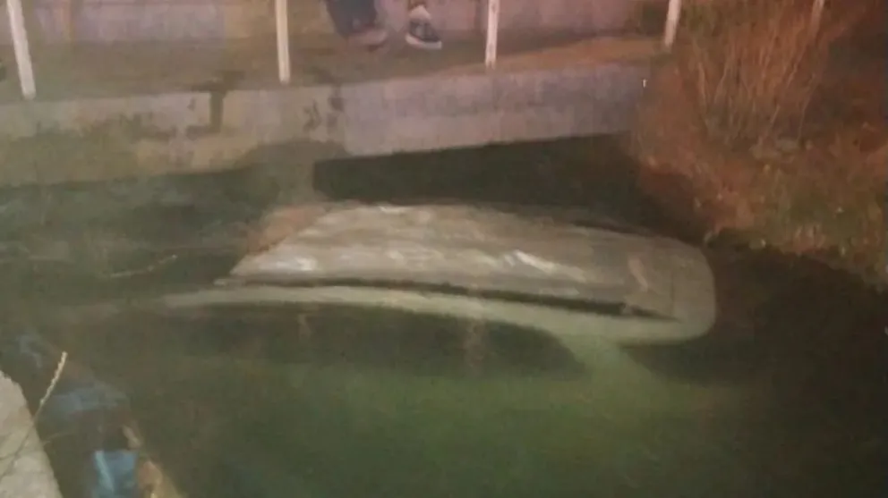 Otro vehículo terminó dentro de un canal de riego