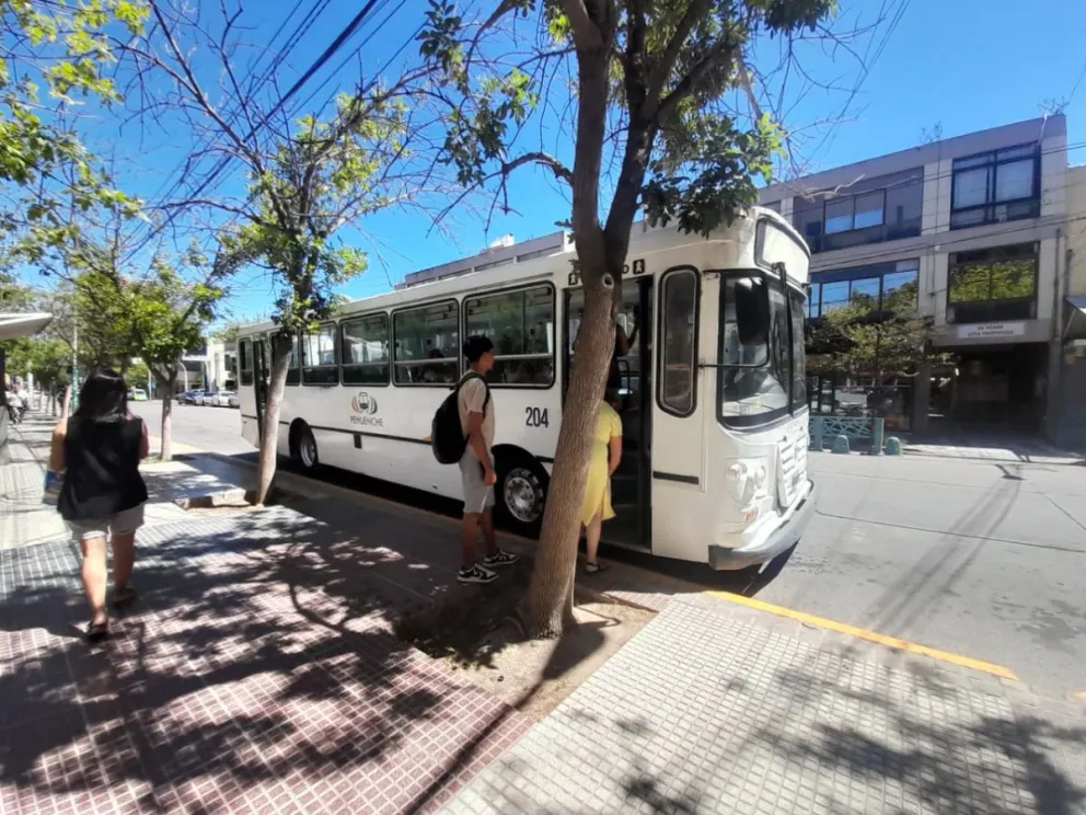 Quita de subsidios: a cuánto subirá el boleto en la región