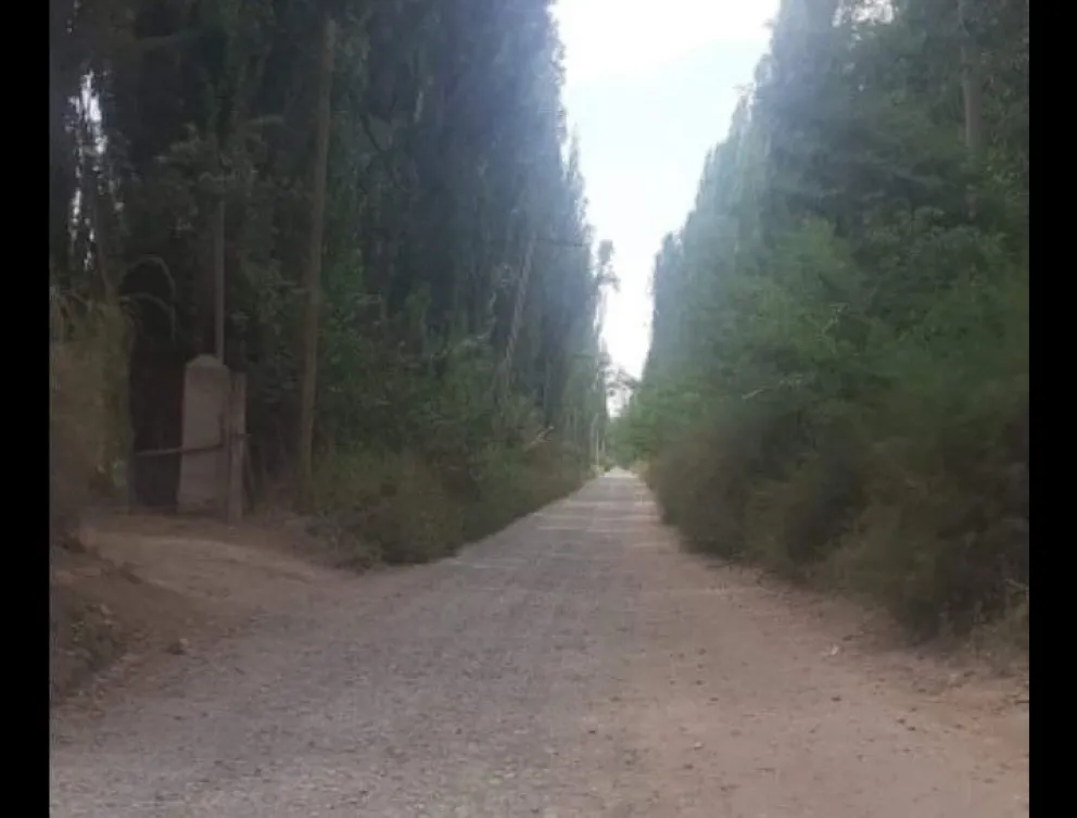 Vecinos de la calle A 15 reclaman al municipio maquinas viales, limpieza e iluminación