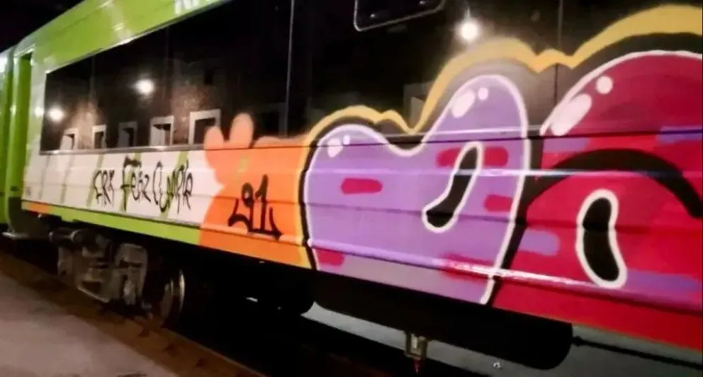 El Tren Patagónico sufrió un acto de vandalismo