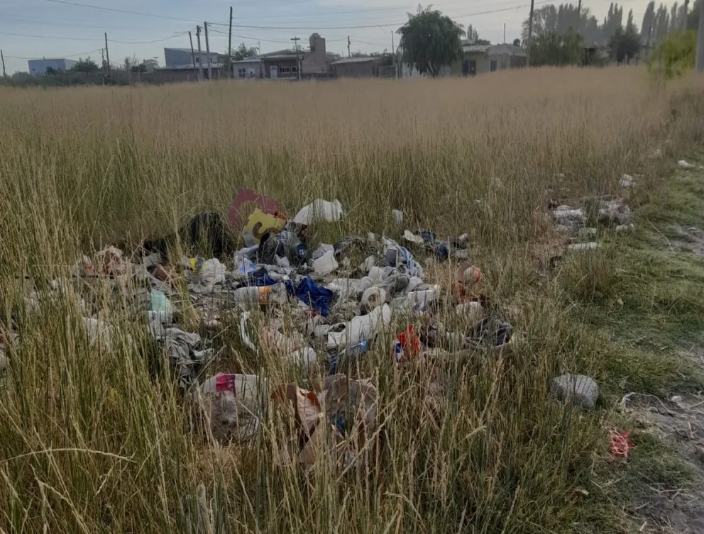 Vecinos reclaman limpieza y desmalezamientos de predios en el Distrito de Cipolletti