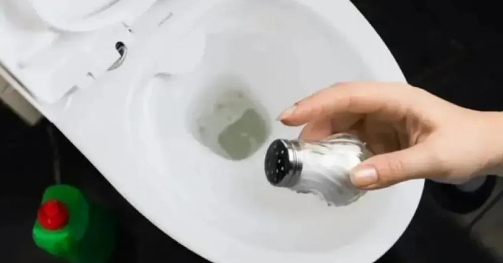 Cómo se utiliza la sal para mantener el inodoro limpio y sin olores