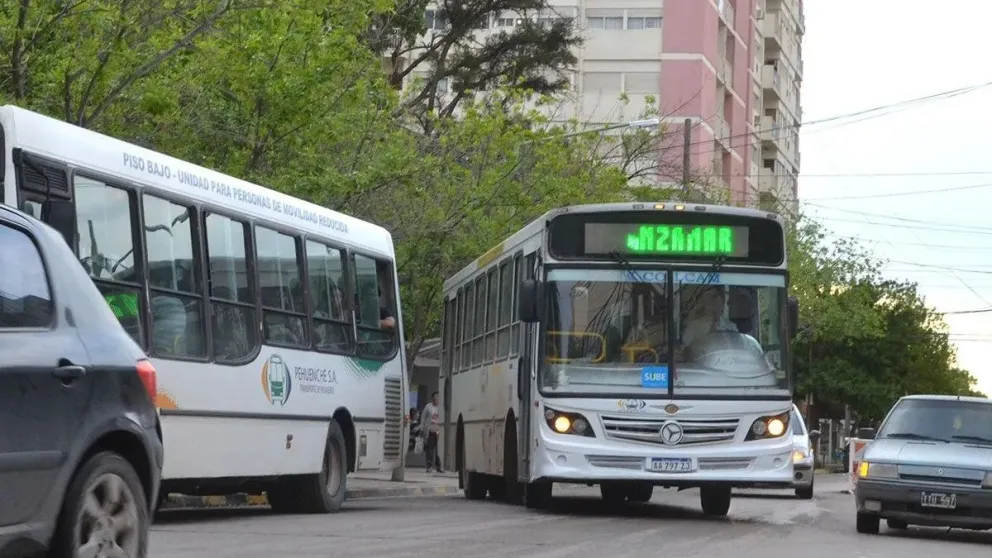En que lugar quedó Cipolletti en el ranking de precios de colectivos 